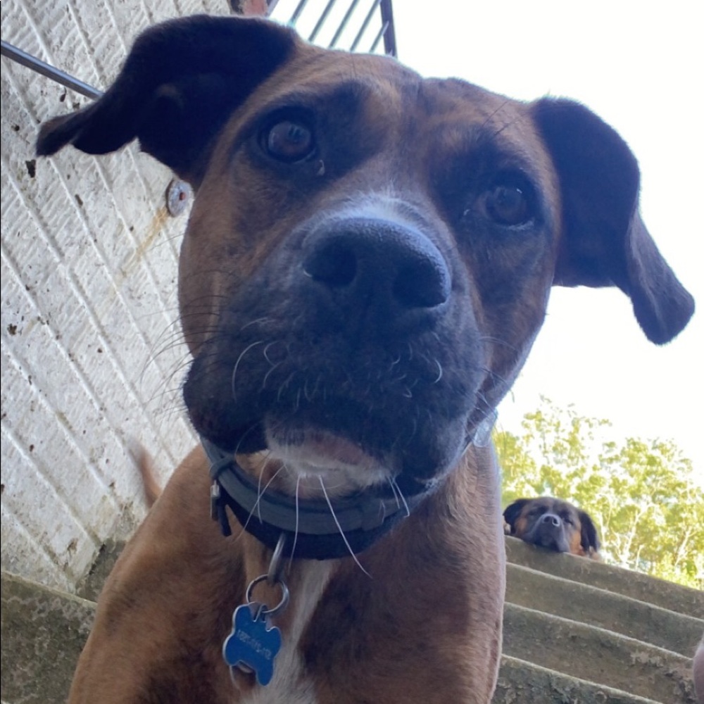 Meet your Posher, Sofia